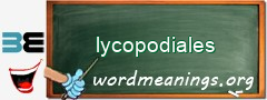 WordMeaning blackboard for lycopodiales